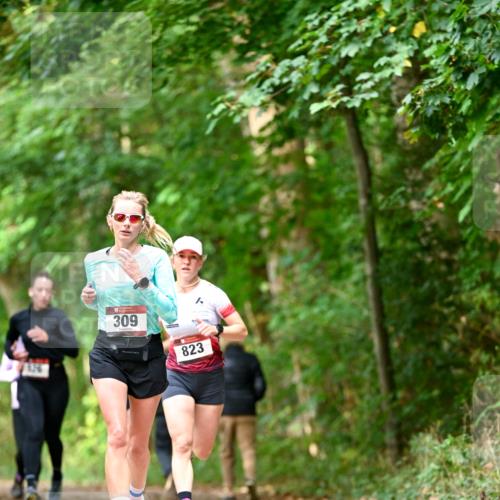 11.10.2026 - Bramfelder Halbmarathon 2026 Dr. Thomas Lammeyer http://msf.ph/oto/10830195 11.10.2026 11:12:47 Laufen 309, 823 meine-sportfotos.de