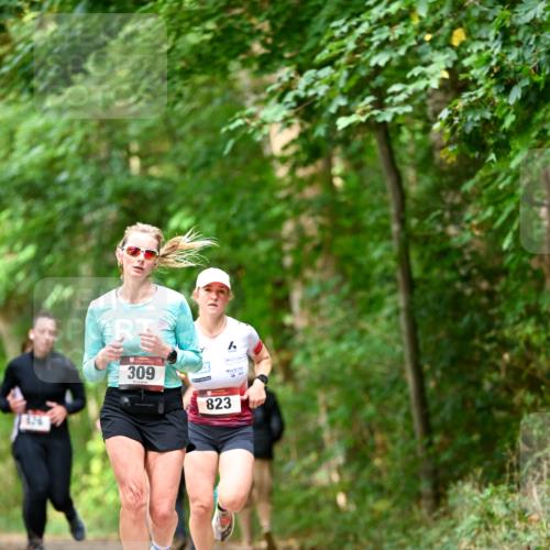 11.10.2026 - Bramfelder Halbmarathon 2026 Dr. Thomas Lammeyer http://msf.ph/oto/10830197 11.10.2026 11:12:47 Laufen 309, 823 meine-sportfotos.de