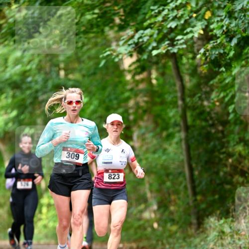 11.10.2026 - Bramfelder Halbmarathon 2026 Dr. Thomas Lammeyer http://msf.ph/oto/10830200 11.10.2026 11:12:47 Laufen 309, 823 meine-sportfotos.de