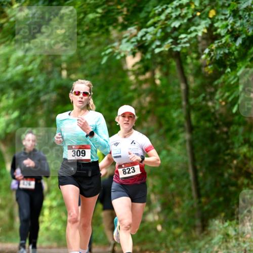 11.10.2026 - Bramfelder Halbmarathon 2026 Dr. Thomas Lammeyer http://msf.ph/oto/10830204 11.10.2026 11:12:48 Laufen 416, 309, 823 meine-sportfotos.de