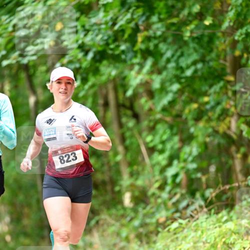 11.10.2026 - Bramfelder Halbmarathon 2026 Dr. Thomas Lammeyer http://msf.ph/oto/10830217 11.10.2026 11:12:49 Laufen 823 meine-sportfotos.de