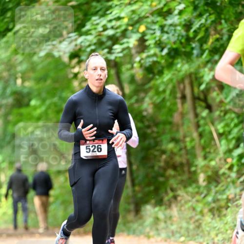 11.10.2026 - Bramfelder Halbmarathon 2026 Dr. Thomas Lammeyer http://msf.ph/oto/10830239 11.10.2026 11:12:53 Laufen 526 meine-sportfotos.de