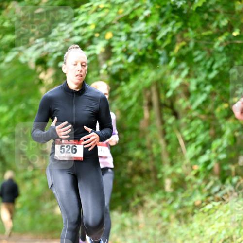 11.10.2026 - Bramfelder Halbmarathon 2026 Dr. Thomas Lammeyer http://msf.ph/oto/10830244 11.10.2026 11:12:53 Laufen 526, 6 meine-sportfotos.de
