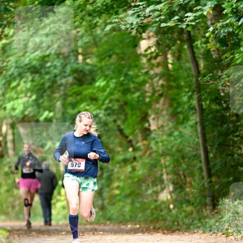11.10.2026 - Bramfelder Halbmarathon 2026 Dr. Thomas Lammeyer http://msf.ph/oto/10830256 11.10.2026 11:12:59 Laufen 579 meine-sportfotos.de