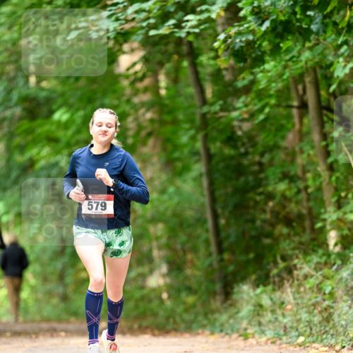 11.10.2026 - Bramfelder Halbmarathon 2026 Dr. Thomas Lammeyer http://msf.ph/oto/10830273 11.10.2026 11:13:01 Laufen 579 meine-sportfotos.de