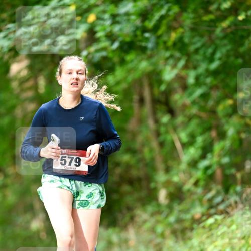 11.10.2026 - Bramfelder Halbmarathon 2026 Dr. Thomas Lammeyer http://msf.ph/oto/10830294 11.10.2026 11:13:02 Laufen 579 meine-sportfotos.de
