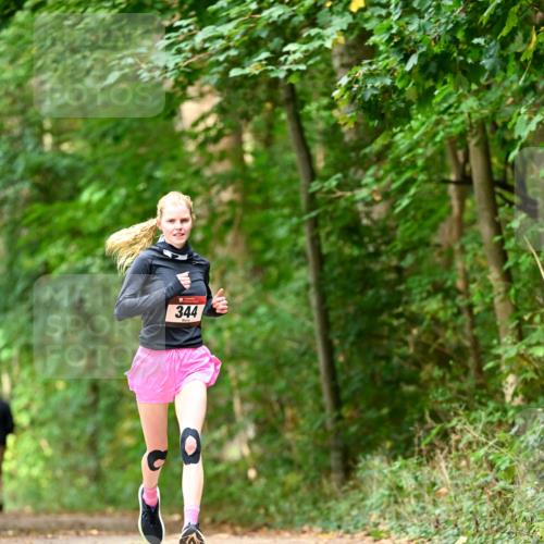 11.10.2026 - Bramfelder Halbmarathon 2026 Dr. Thomas Lammeyer http://msf.ph/oto/10830299 11.10.2026 11:13:04 Laufen 344 meine-sportfotos.de