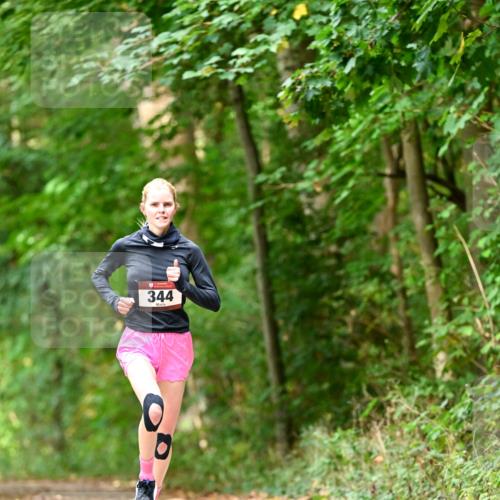 11.10.2026 - Bramfelder Halbmarathon 2026 Dr. Thomas Lammeyer http://msf.ph/oto/10830303 11.10.2026 11:13:04 Laufen 344 meine-sportfotos.de