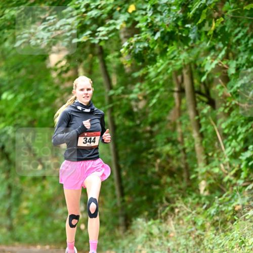11.10.2026 - Bramfelder Halbmarathon 2026 Dr. Thomas Lammeyer http://msf.ph/oto/10830308 11.10.2026 11:13:05 Laufen 344 meine-sportfotos.de