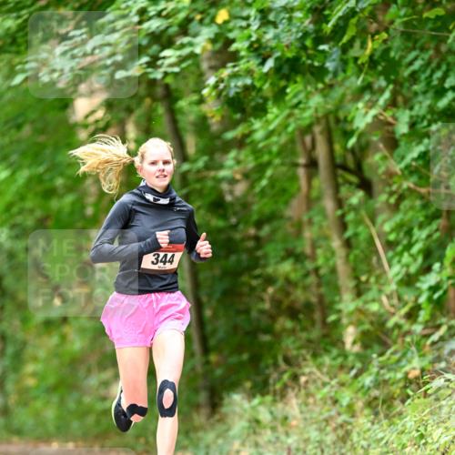11.10.2026 - Bramfelder Halbmarathon 2026 Dr. Thomas Lammeyer http://msf.ph/oto/10830310 11.10.2026 11:13:05 Laufen 344 meine-sportfotos.de