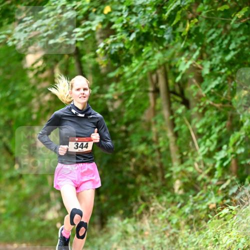 11.10.2026 - Bramfelder Halbmarathon 2026 Dr. Thomas Lammeyer http://msf.ph/oto/10830312 11.10.2026 11:13:05 Laufen 344 meine-sportfotos.de