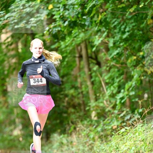 11.10.2026 - Bramfelder Halbmarathon 2026 Dr. Thomas Lammeyer http://msf.ph/oto/10830314 11.10.2026 11:13:05 Laufen 344 meine-sportfotos.de