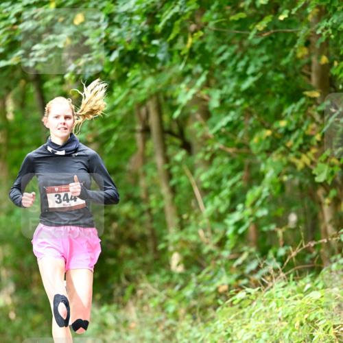 11.10.2026 - Bramfelder Halbmarathon 2026 Dr. Thomas Lammeyer http://msf.ph/oto/10830316 11.10.2026 11:13:05 Laufen 344 meine-sportfotos.de