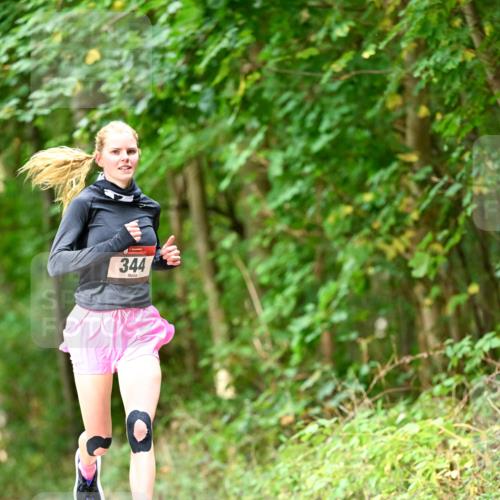 11.10.2026 - Bramfelder Halbmarathon 2026 Dr. Thomas Lammeyer http://msf.ph/oto/10830319 11.10.2026 11:13:05 Laufen 344 meine-sportfotos.de