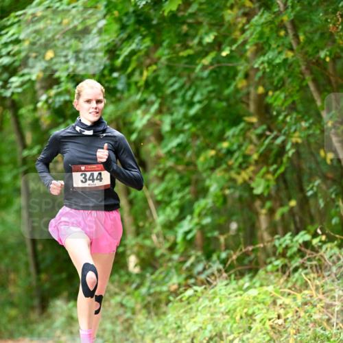 11.10.2026 - Bramfelder Halbmarathon 2026 Dr. Thomas Lammeyer http://msf.ph/oto/10830324 11.10.2026 11:13:06 Laufen 344 meine-sportfotos.de