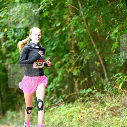 11.10.2026 - Bramfelder Halbmarathon 2026 Dr. Thomas Lammeyer http://msf.ph/oto/10830329 11.10.2026 11:13:06 Laufen 344 meine-sportfotos.de