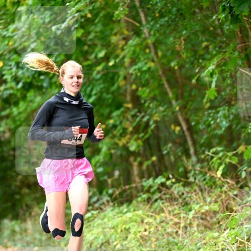 11.10.2026 - Bramfelder Halbmarathon 2026 Dr. Thomas Lammeyer http://msf.ph/oto/10830330 11.10.2026 11:13:06 Laufen 44 meine-sportfotos.de