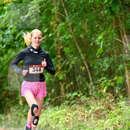11.10.2026 - Bramfelder Halbmarathon 2026 Dr. Thomas Lammeyer http://msf.ph/oto/10830332 11.10.2026 11:13:06 Laufen 344 meine-sportfotos.de