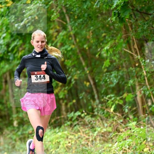 11.10.2026 - Bramfelder Halbmarathon 2026 Dr. Thomas Lammeyer http://msf.ph/oto/10830333 11.10.2026 11:13:07 Laufen 344 meine-sportfotos.de