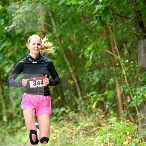 11.10.2026 - Bramfelder Halbmarathon 2026 Dr. Thomas Lammeyer http://msf.ph/oto/10830335 11.10.2026 11:13:07 Laufen 344 meine-sportfotos.de