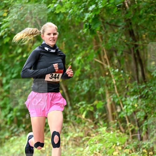 11.10.2026 - Bramfelder Halbmarathon 2026 Dr. Thomas Lammeyer http://msf.ph/oto/10830338 11.10.2026 11:13:07 Laufen 344 meine-sportfotos.de