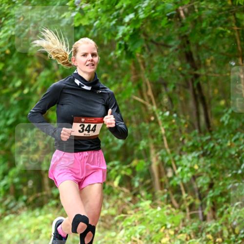 11.10.2026 - Bramfelder Halbmarathon 2026 Dr. Thomas Lammeyer http://msf.ph/oto/10830340 11.10.2026 11:13:07 Laufen 344 meine-sportfotos.de