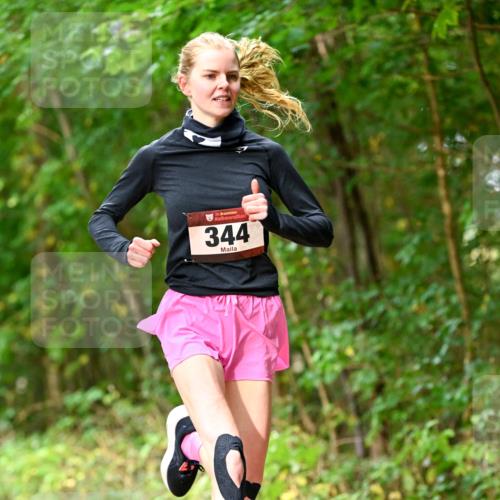11.10.2026 - Bramfelder Halbmarathon 2026 Dr. Thomas Lammeyer http://msf.ph/oto/10830344 11.10.2026 11:13:07 Laufen 344 meine-sportfotos.de
