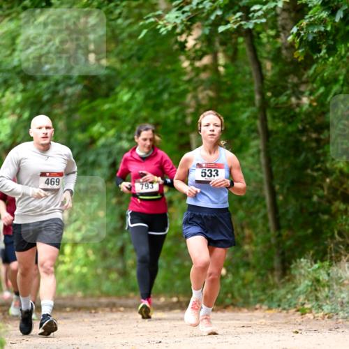 11.10.2026 - Bramfelder Halbmarathon 2026 Dr. Thomas Lammeyer http://msf.ph/oto/10830346 11.10.2026 11:13:14 Laufen 469, 793, 533 meine-sportfotos.de