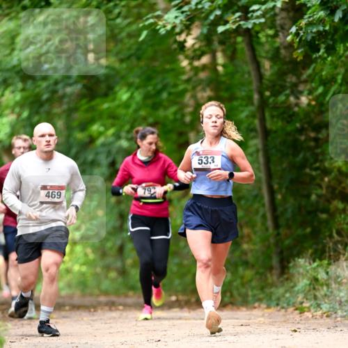 11.10.2026 - Bramfelder Halbmarathon 2026 Dr. Thomas Lammeyer http://msf.ph/oto/10830347 11.10.2026 11:13:14 Laufen 469, 533, 152 meine-sportfotos.de