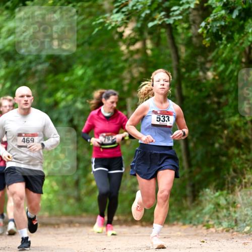11.10.2026 - Bramfelder Halbmarathon 2026 Dr. Thomas Lammeyer http://msf.ph/oto/10830353 11.10.2026 11:13:14 Laufen 469, 79, 533, 152 meine-sportfotos.de