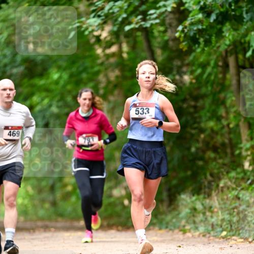 11.10.2026 - Bramfelder Halbmarathon 2026 Dr. Thomas Lammeyer http://msf.ph/oto/10830357 11.10.2026 11:13:15 Laufen 469, 793, 533, 152 meine-sportfotos.de