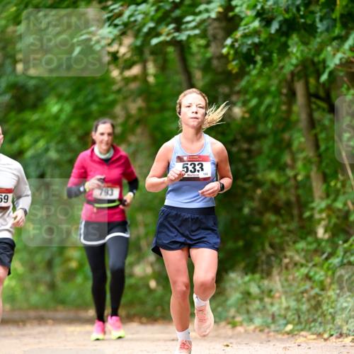 11.10.2026 - Bramfelder Halbmarathon 2026 Dr. Thomas Lammeyer http://msf.ph/oto/10830358 11.10.2026 11:13:15 Laufen 69, 533, 152 meine-sportfotos.de