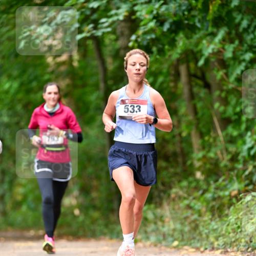 11.10.2026 - Bramfelder Halbmarathon 2026 Dr. Thomas Lammeyer http://msf.ph/oto/10830364 11.10.2026 11:13:15 Laufen 533 meine-sportfotos.de