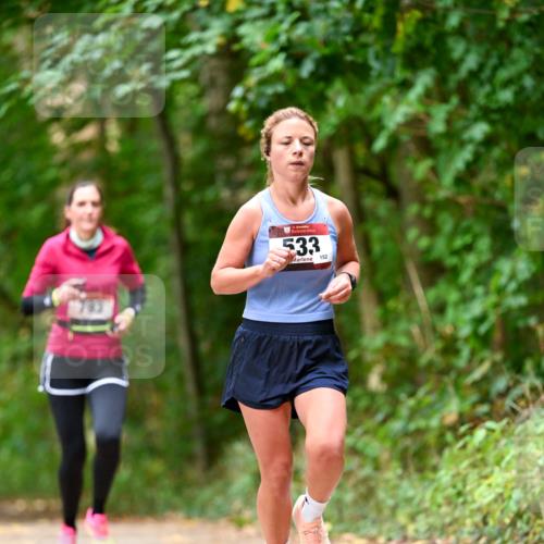 11.10.2026 - Bramfelder Halbmarathon 2026 Dr. Thomas Lammeyer http://msf.ph/oto/10830368 11.10.2026 11:13:15 Laufen 533, 152 meine-sportfotos.de