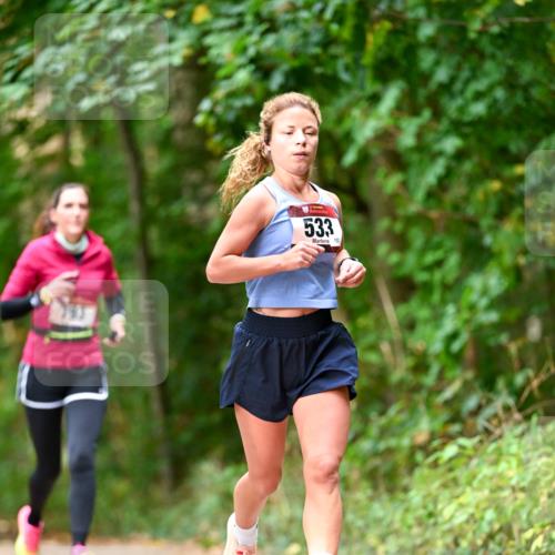 11.10.2026 - Bramfelder Halbmarathon 2026 Dr. Thomas Lammeyer http://msf.ph/oto/10830370 11.10.2026 11:13:15 Laufen 533, 152 meine-sportfotos.de