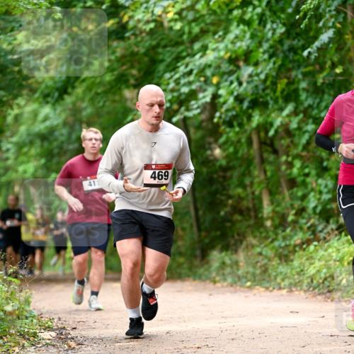 11.10.2026 - Bramfelder Halbmarathon 2026 Dr. Thomas Lammeyer http://msf.ph/oto/10830390 11.10.2026 11:13:18 Laufen 7, 411, 469 meine-sportfotos.de