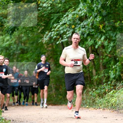 11.10.2026 - Bramfelder Halbmarathon 2026 Dr. Thomas Lammeyer http://msf.ph/oto/10830448 11.10.2026 11:13:25 Laufen 26, 36 meine-sportfotos.de