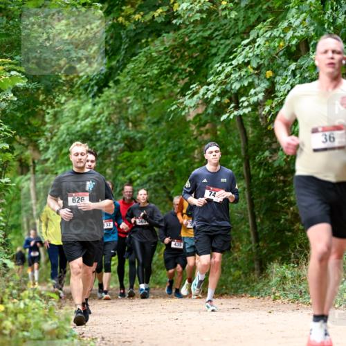 11.10.2026 - Bramfelder Halbmarathon 2026 Dr. Thomas Lammeyer http://msf.ph/oto/10830457 11.10.2026 11:13:26 Laufen 626, 132, 365, 435, 74, 36 meine-sportfotos.de
