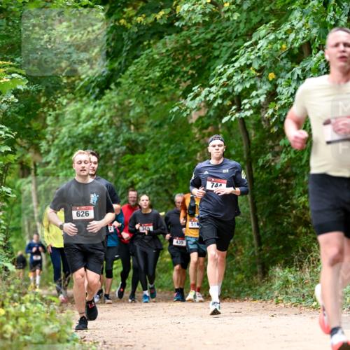 11.10.2026 - Bramfelder Halbmarathon 2026 Dr. Thomas Lammeyer http://msf.ph/oto/10830459 11.10.2026 11:13:26 Laufen 626, 365, 435, 51, 74 meine-sportfotos.de