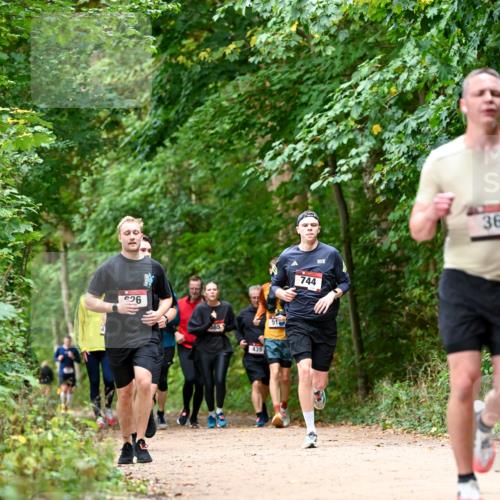 11.10.2026 - Bramfelder Halbmarathon 2026 Dr. Thomas Lammeyer http://msf.ph/oto/10830461 11.10.2026 11:13:26 Laufen 26, 365, 365, 435, 51, 744, 36 meine-sportfotos.de