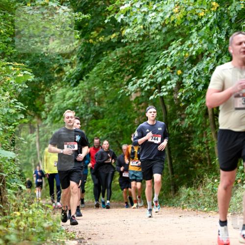 11.10.2026 - Bramfelder Halbmarathon 2026 Dr. Thomas Lammeyer http://msf.ph/oto/10830463 11.10.2026 11:13:27 Laufen 626, 435, 314, 744 meine-sportfotos.de