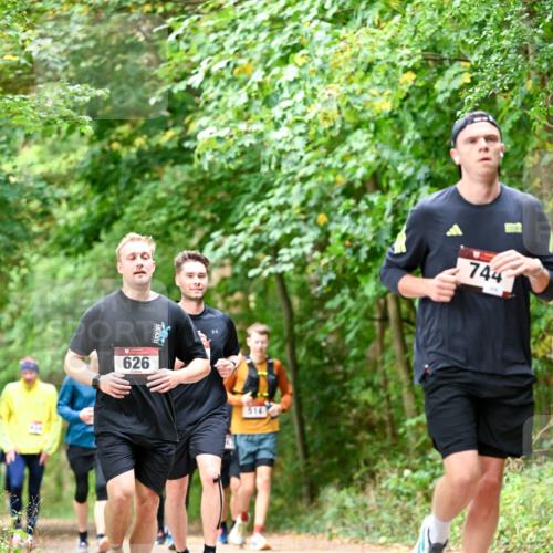 11.10.2026 - Bramfelder Halbmarathon 2026 Dr. Thomas Lammeyer http://msf.ph/oto/10830497 11.10.2026 11:13:29 Laufen 626, 514, 744 meine-sportfotos.de