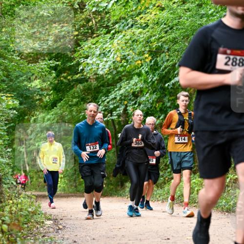 11.10.2026 - Bramfelder Halbmarathon 2026 Dr. Thomas Lammeyer http://msf.ph/oto/10830550 11.10.2026 11:13:33 Laufen 434, 132, 365, 85, 514, 288 meine-sportfotos.de