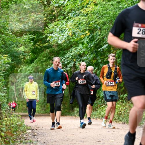 11.10.2026 - Bramfelder Halbmarathon 2026 Dr. Thomas Lammeyer http://msf.ph/oto/10830552 11.10.2026 11:13:34 Laufen 434, 32, 365, 5, 514, 28 meine-sportfotos.de