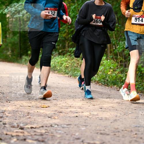 11.10.2026 - Bramfelder Halbmarathon 2026 Dr. Thomas Lammeyer http://msf.ph/oto/10830553 11.10.2026 11:13:36 Laufen 32, 365, 514 meine-sportfotos.de