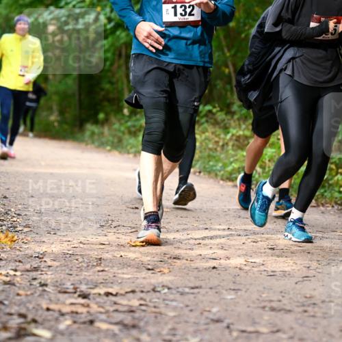 11.10.2026 - Bramfelder Halbmarathon 2026 Dr. Thomas Lammeyer http://msf.ph/oto/10830559 11.10.2026 11:13:36 Laufen 132, 5 meine-sportfotos.de