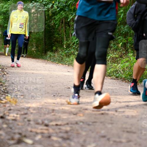 11.10.2026 - Bramfelder Halbmarathon 2026 Dr. Thomas Lammeyer http://msf.ph/oto/10830562 11.10.2026 11:13:37 Laufen 159, 434, 365 meine-sportfotos.de