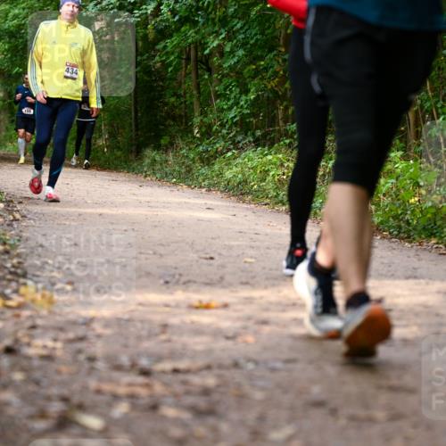 11.10.2026 - Bramfelder Halbmarathon 2026 Dr. Thomas Lammeyer http://msf.ph/oto/10830568 11.10.2026 11:13:37 Laufen 434 meine-sportfotos.de