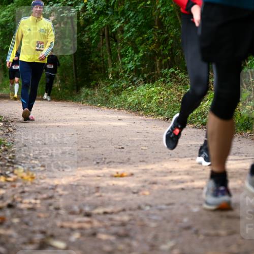 11.10.2026 - Bramfelder Halbmarathon 2026 Dr. Thomas Lammeyer http://msf.ph/oto/10830573 11.10.2026 11:13:37 Laufen  meine-sportfotos.de