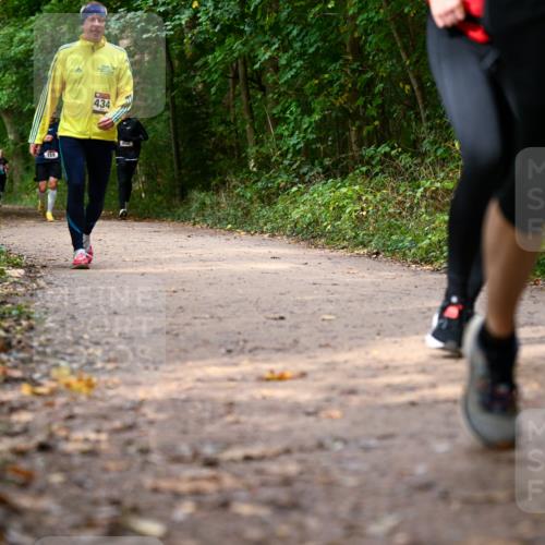11.10.2026 - Bramfelder Halbmarathon 2026 Dr. Thomas Lammeyer http://msf.ph/oto/10830576 11.10.2026 11:13:37 Laufen  meine-sportfotos.de